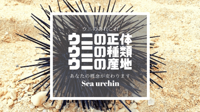 寿司 ウニの種類や産地を解説 本物のウニ ハマちゃんによる鮨のトリセツ