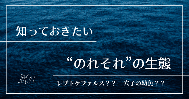 珍味 のれそれ とは 名前の由来や生態 美味しい食べ方などを解説 寿司 ハマちゃんによる鮨のトリセツ